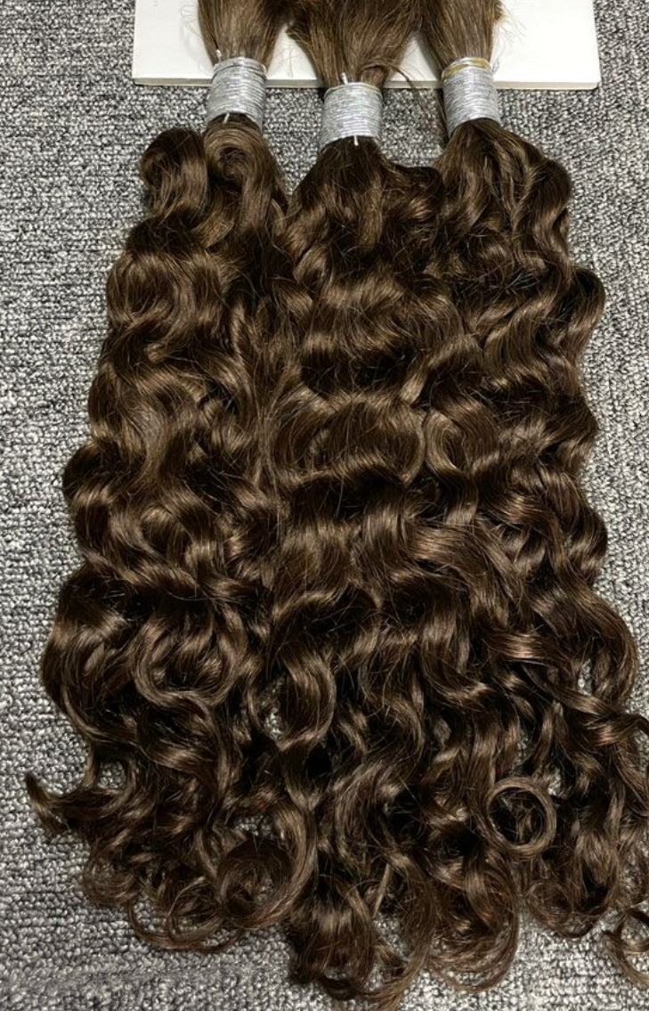 Burmese Curls