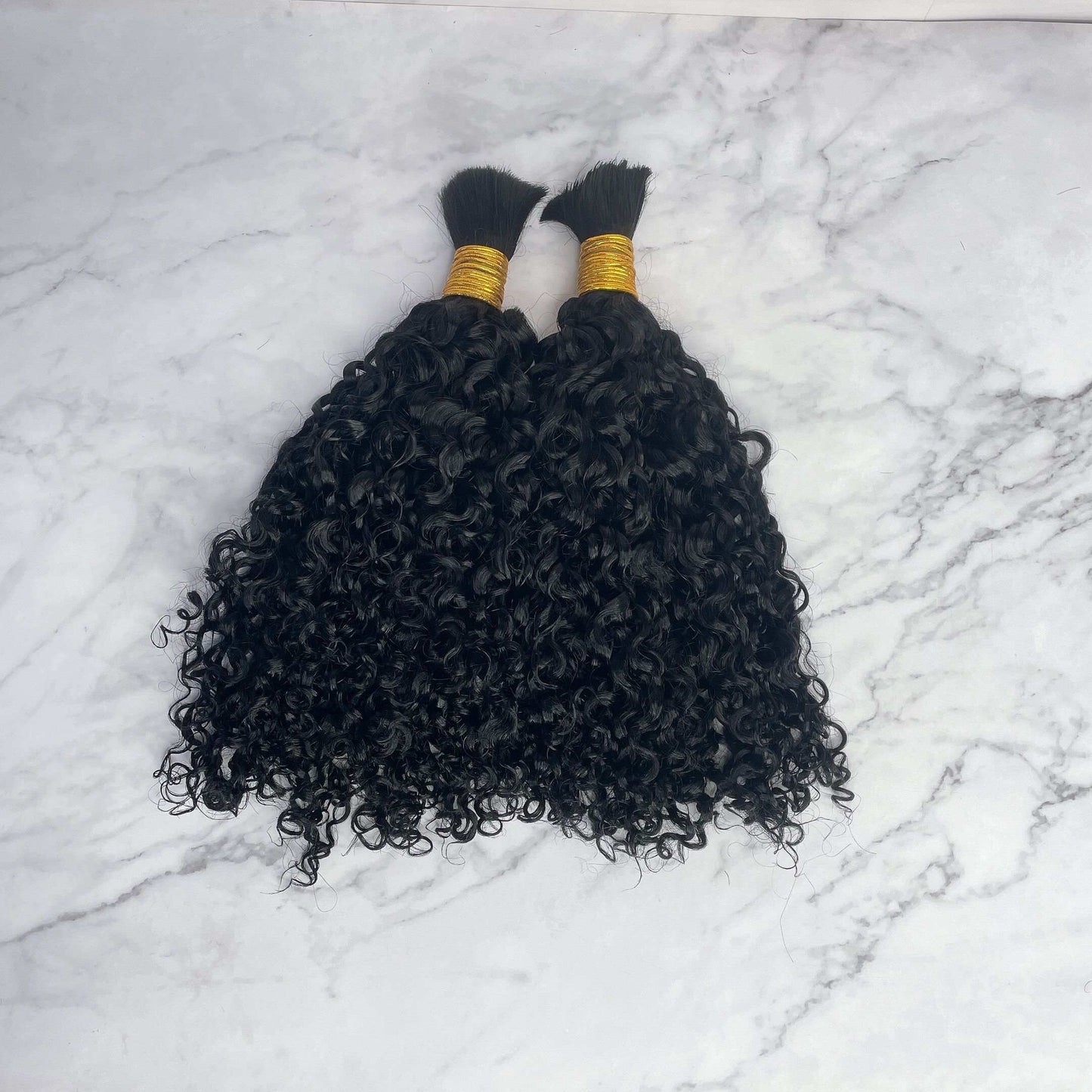 Burmese Curls